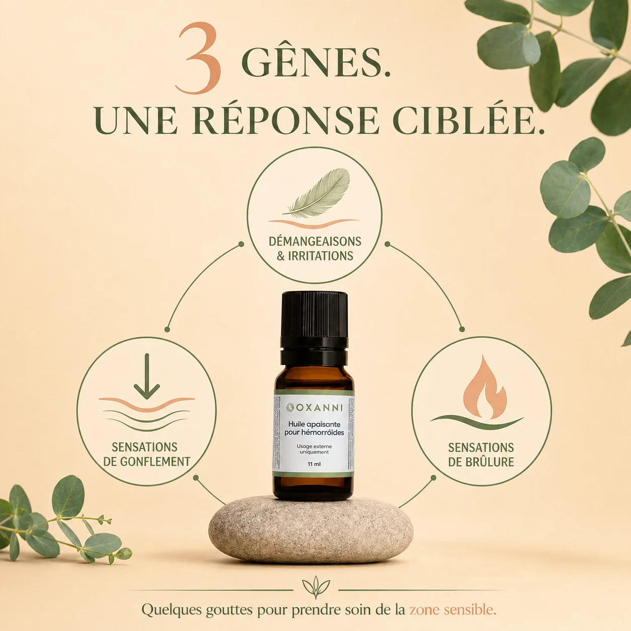 Huile Apaisante pour Hémorroïdes